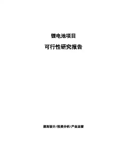 锂电池项目可行性研究报告