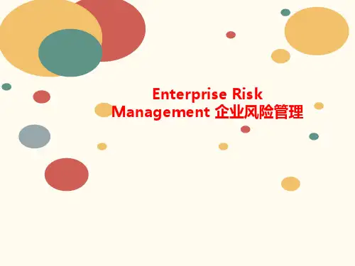 Enterprise讲义 Risk Management 企业风险管理