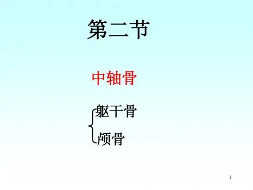 中轴骨1