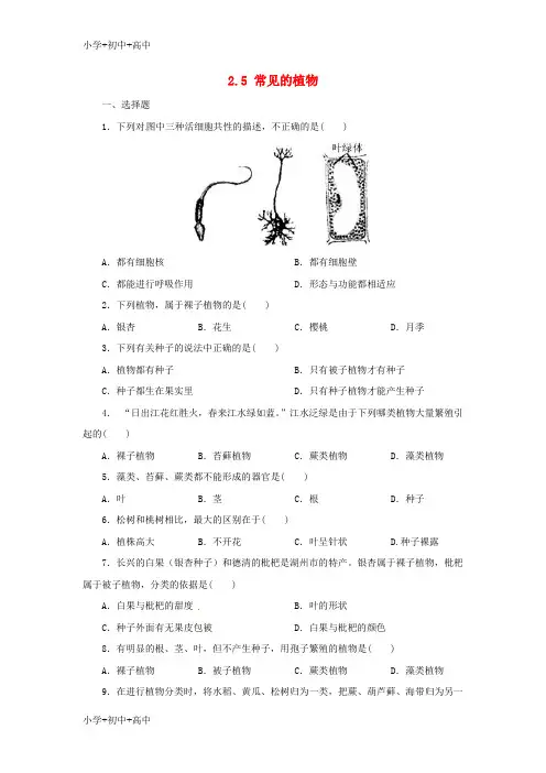 教育最新K12七年级科学上册 2.5 常见的植物同步练习 (新版)浙教版