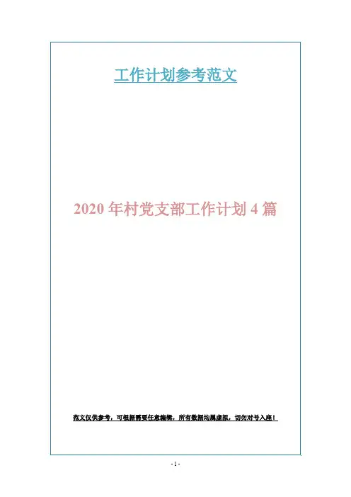 2020年村党支部工作计划4篇