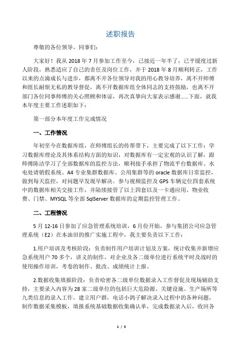 信息技术部门个人述职报告