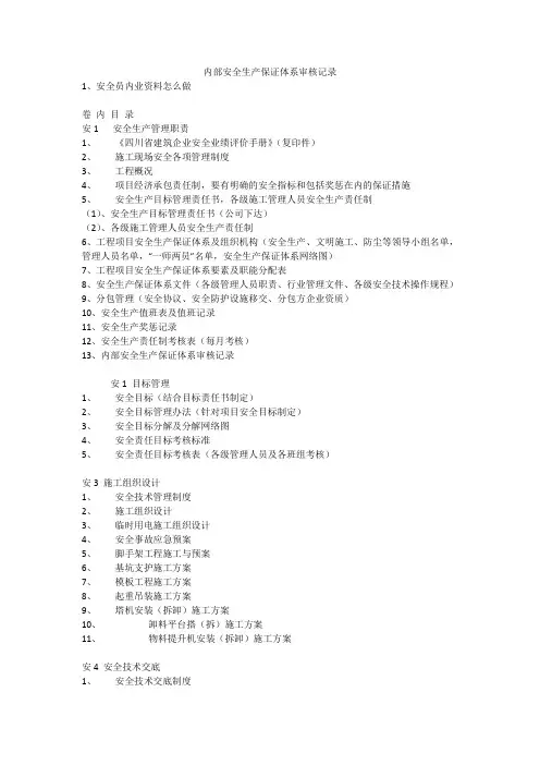 内部安全生产保证体系审核记录安全生产