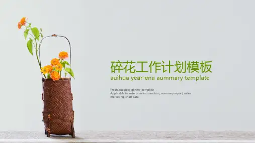 【精选】碎花工作计划PPT模板