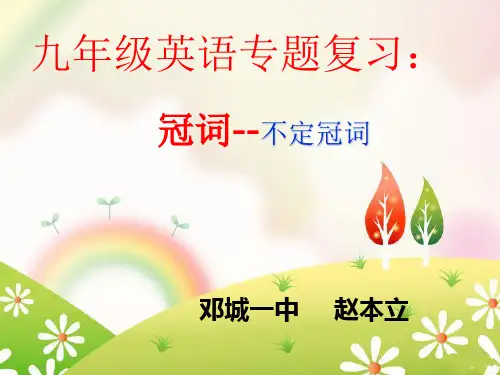 专项复习:冠词