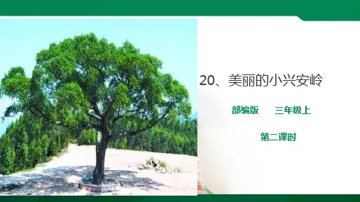 20.《美丽的小兴安岭》第二课时  课件