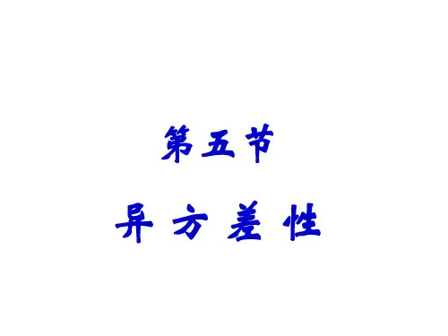 异方差