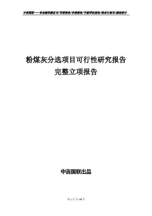粉煤灰分选项目可行性研究报告完整立项报告