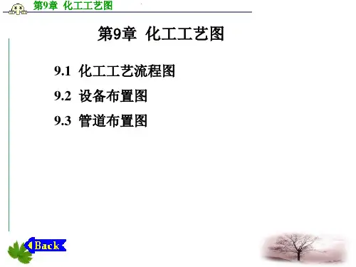 化工工艺图概述