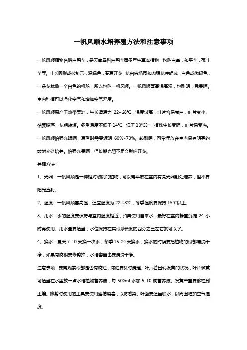 一帆风顺水培养殖方法和注意事项