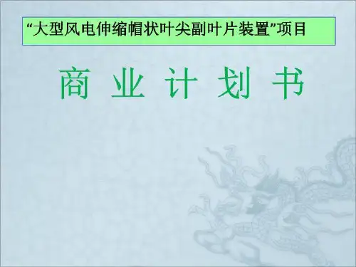 伸缩风电叶片装置商业计划书