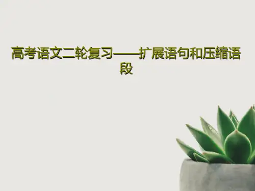 高考语文二轮复习——扩展语句和压缩语段共27页