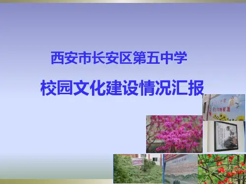 校园文化建设成果