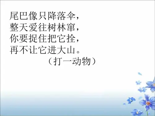教科版三年级语文6《那只松鼠》