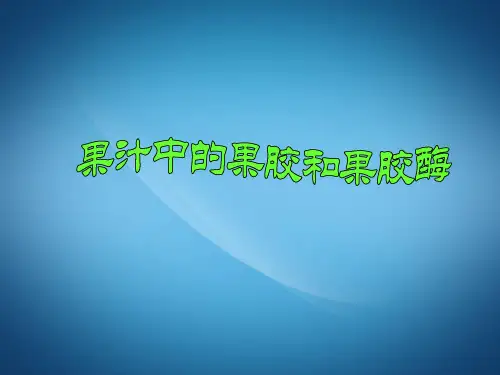 高中生物高二生物PPT课件果汁中的果胶和果胶酶