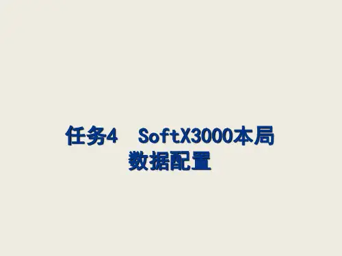 交换设备配置与维护任务4-SoftX3000本局数据配置
