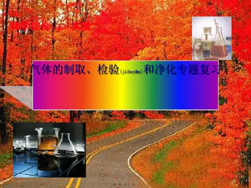 中考科学 气体制取 净化 检验复习课件 