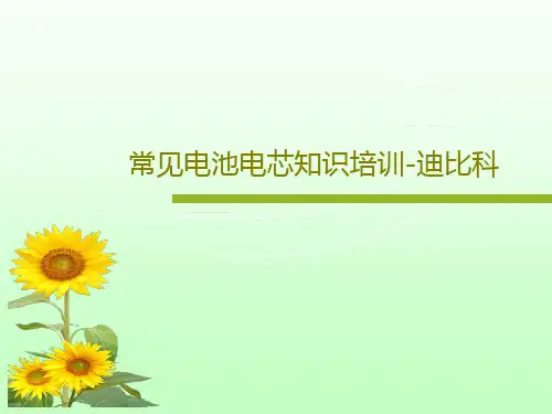 常见电池电芯知识培训-迪比科共40页文档