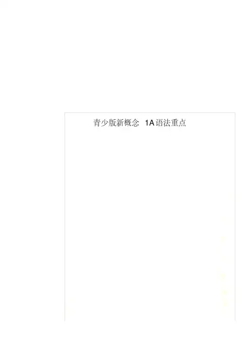 青少版新概念1A语法重点