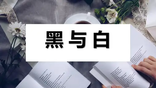 三年级美术上册《黑与白》PPT精品课件