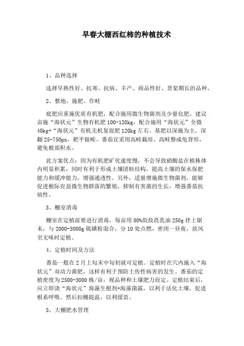 早春大棚西红柿的种植技术