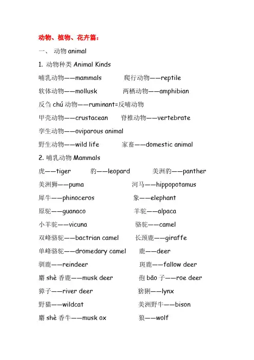 英语分类词汇精编