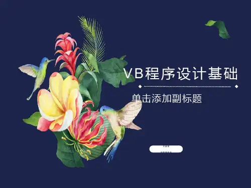 计算机二级补习VB基础部分