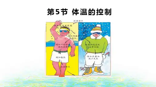 浙教版八年级上册科学第三章第5节体温的控制教学课件
