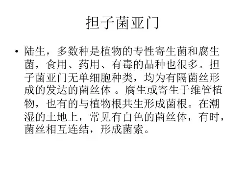 担子菌亚门.