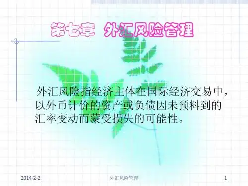 第七章  外汇风险管理(国际金融学-武汉大学,吉余峰)