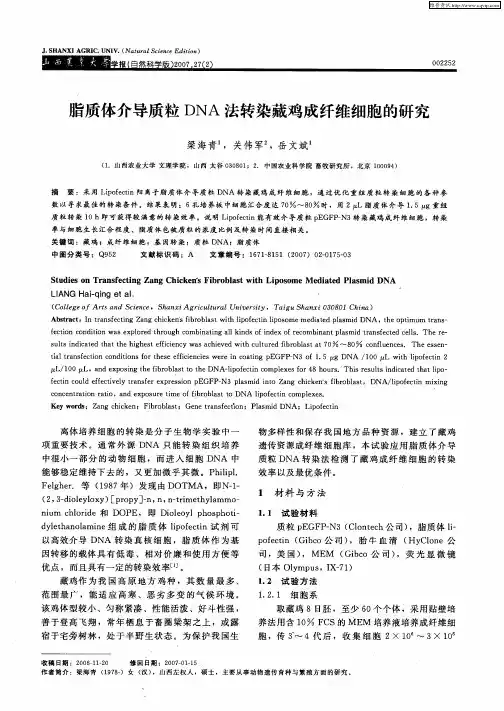 脂质体介导质粒DNA法转染藏鸡成纤维细胞的研究