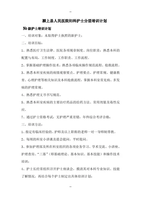 护士分层培训计划 2