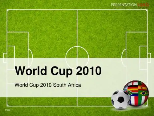 2010年世界杯