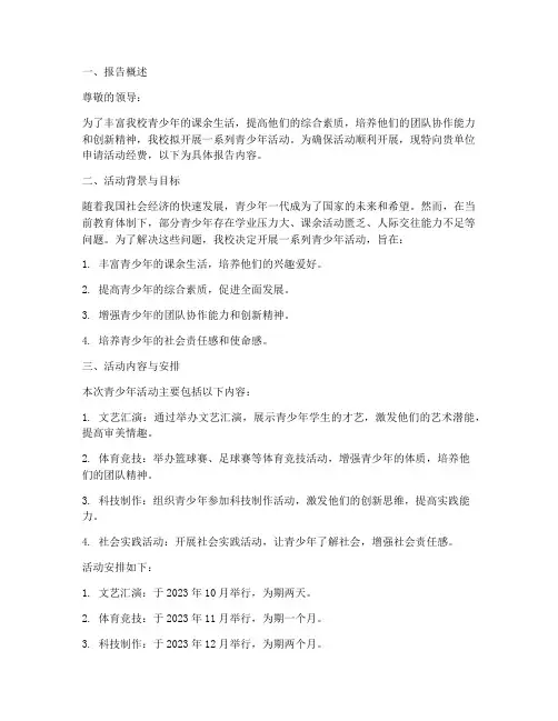 青少年活动经费申请报告