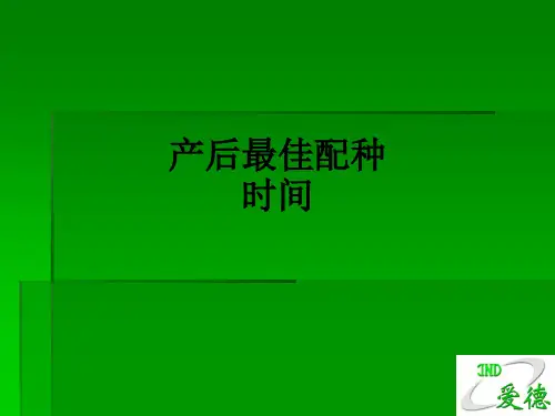 产后最佳配种时间ppt课件