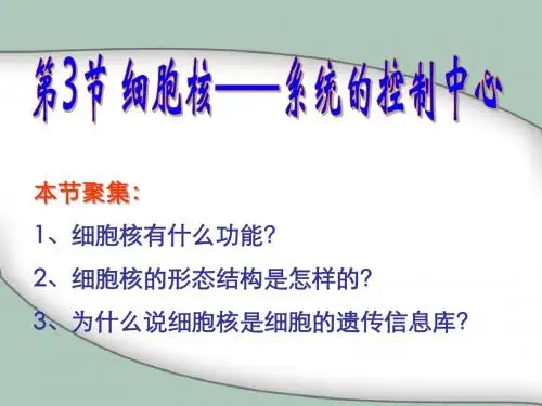 细胞核——系统的控制中心