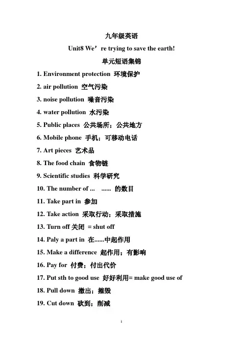 鲁教版九年级英语unit8 We're trying to save the earth 单元短语集锦