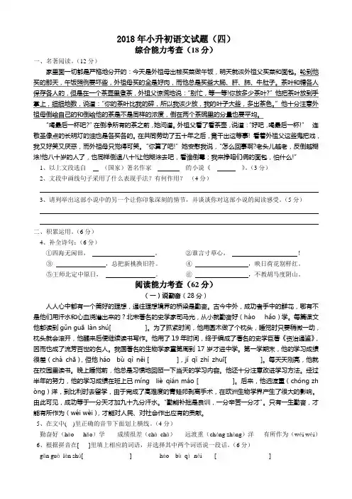 2018小升初语文训练真题试卷