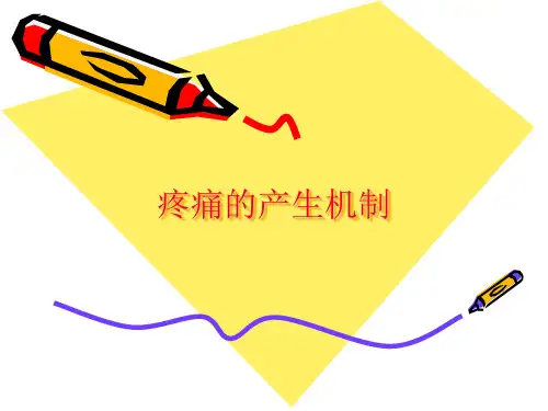 疼痛的产生机制ppt