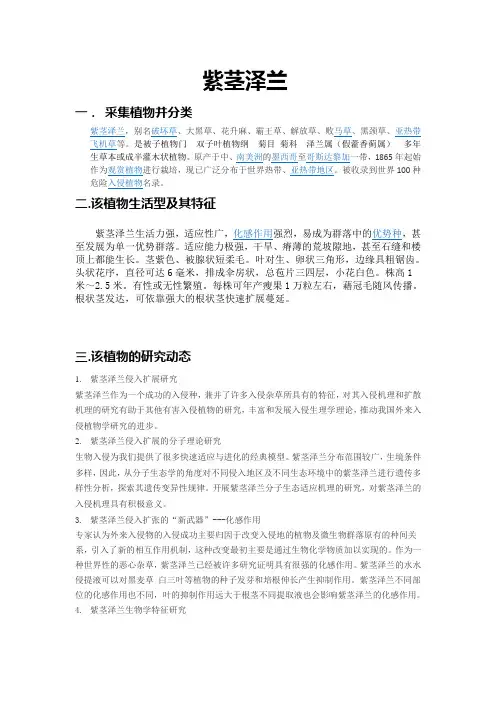 紫茎泽兰