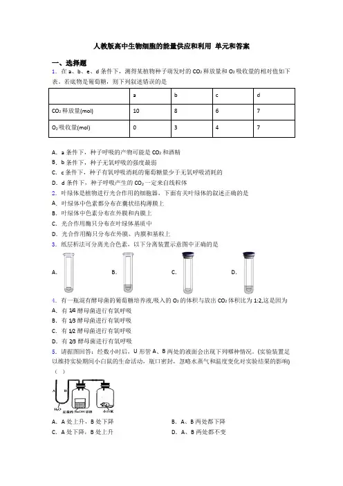 人教版高中生物细胞的能量供应和利用 单元和答案
