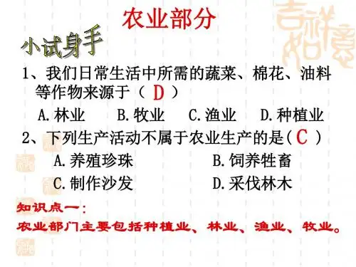 新课标人教版初中地理八年级上册中国的经济发展课件