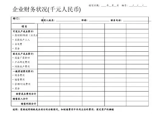 企业财务状况表