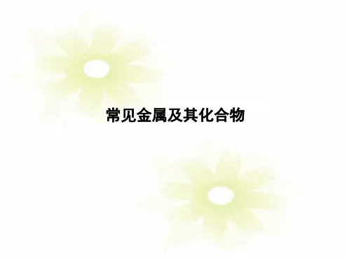 常见金属及其化合物课件