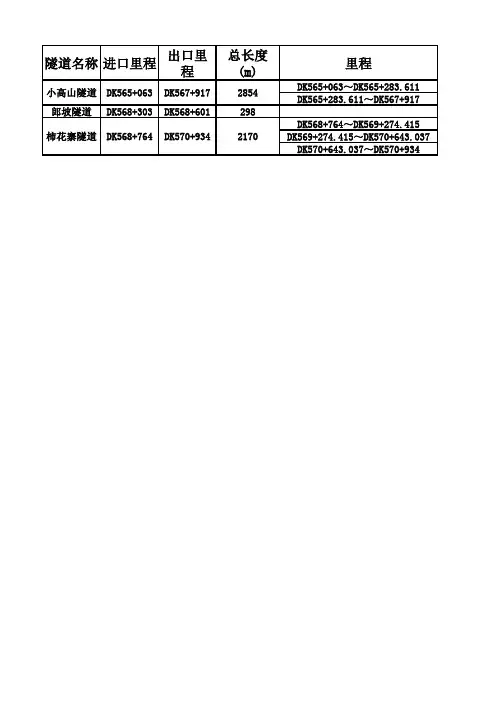 隧道详细信息表