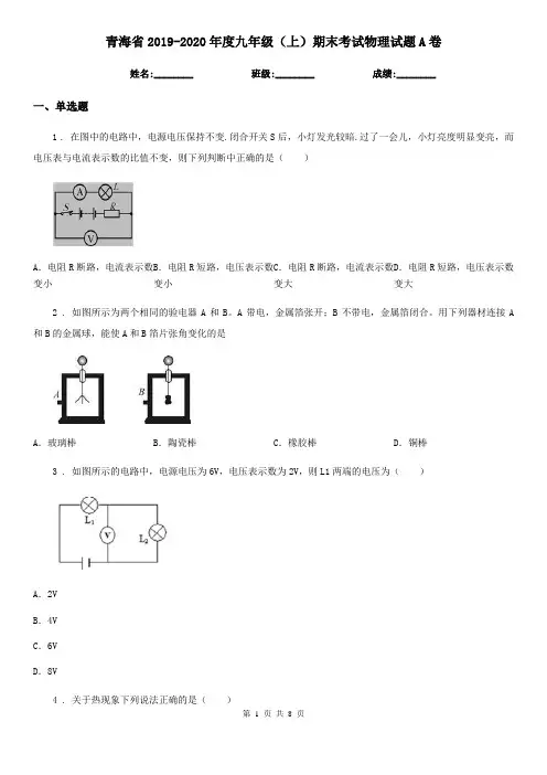 青海省2019-2020年度九年级(上)期末考试物理试题A卷