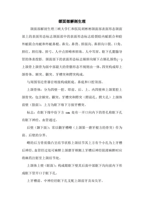 颌面部解剖生理