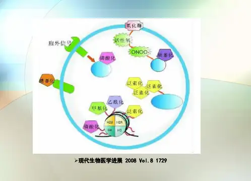 蛋白质翻译后修饰1