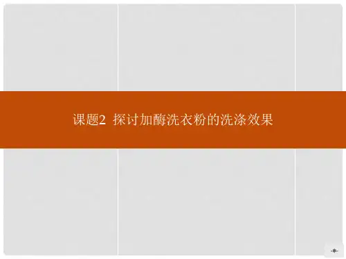高中生物 4.2探讨加酶洗衣粉的洗涤效果课件 新人教版选修1