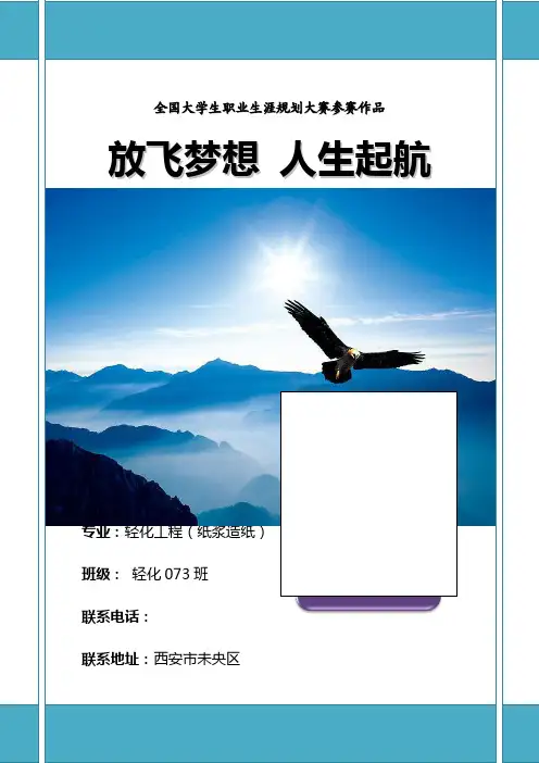 全国大学生职业生涯规划大赛获奖作品